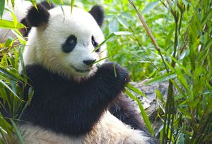 1 noche Hotel Las Artes 3* + Elige Parque Warner, Zoo Madrid, Parque de Atracciones o Faunia por 50€pxp (mín 2p)