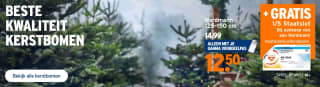 Gratis 1/5 staatslot bij een Nordmann Kerstboom (v.a. €12,50)