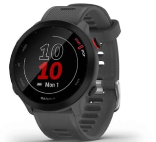 Montre Connectée Garmin Forerunner 55 - Gris/Noir/Blanc à 169€