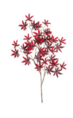 50% korting op alle woonaccessoires bij Karwei