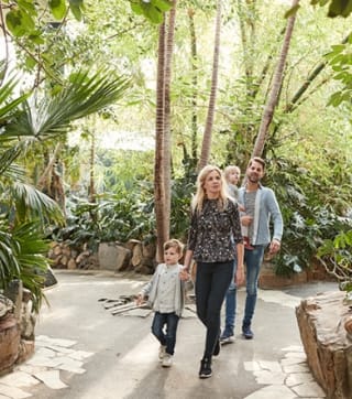 HEMA bungalowweken midweek of weekend Center Parcs vanaf €159