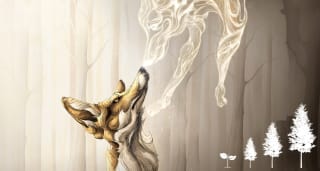 4€ descuento en tu compra de sudaderas