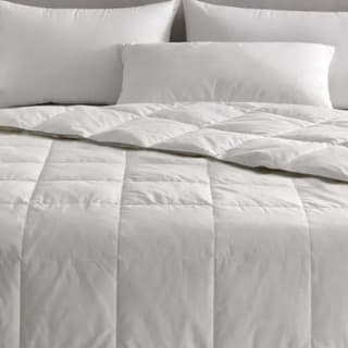 Relleno nórdico Allerban Fibra disponible en 90-150cm por solo 19,99€