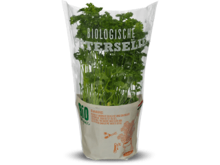 Alle Bio kruiden in pot voor € 0,99 bij de Lidl