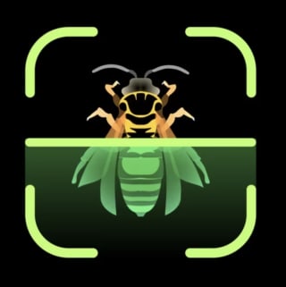 Insect Identifier IOS Gratis