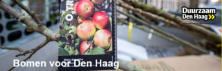 Gratis boom voor inwoners van gemeente Den Haag