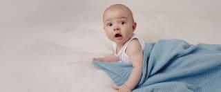 Gratis Verzending op Alle Bestellingen bij Le Olive