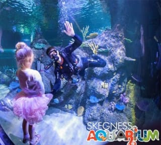 Skegness Aquarium Family Pass for £19 at Planet offers