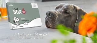 Gratis PLATINUM proefbox voor je hond aanvragen