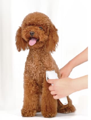 Pawbby huisdieren tondeuse voor €14,99 bij Ochama