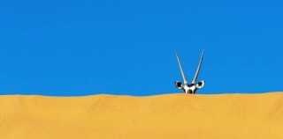 2×1 Namibia 9 dias por 1,599€.