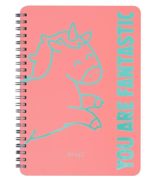 Mr.Wonderful Libreta A4: You are fantastic color rosa por 2€