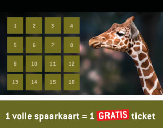 Sparen voor gratis ARTIS tickets bij Dekamarkt
