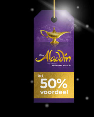 Tot 50% korting op de tickets voor Aladdin en Tina Turner de musical