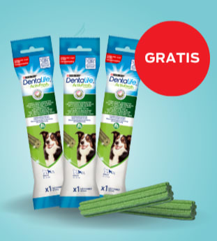 Gratis staaltje Dentalife ActivFresh hondensnack