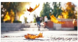 Entradas para musicales, conciertos y teatros desde 8€