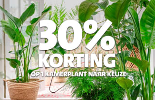 30% korting op 1 tuinplant en 1 kamerplant naar keuze bij Intratuin