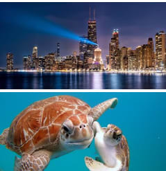 Vuelos en promoción desde 486€ i/V