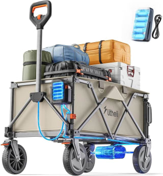 Carro transporte Litheli motorizado playa camping por 188,99€