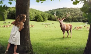 Tickets voor Grotten van Han (Ardennen België) vanaf €23,50