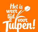 Gratis tulpen plukken in Amsterdam