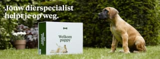 Gratis welkomstpakket voor je puppy bij Welkoop