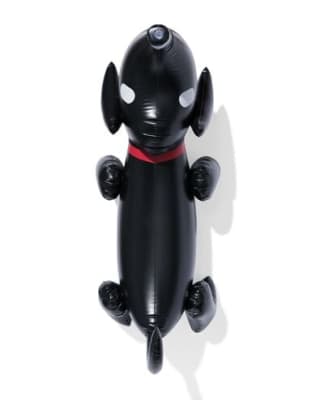 Opblaasbare sproeier Takkie voor €10 bij de Hema