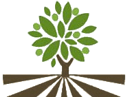 El Mercado de Origen: 15% de descuento y Loncheado gratis en Jamones