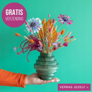 Gratis verzending op brievenbuscadeaus bij Bloompost