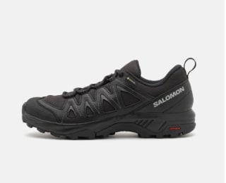 Zapatillas Salomon X Braze Gore-Tex por 67,96€