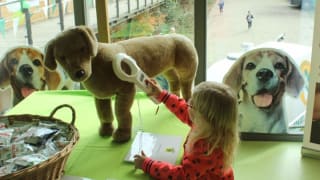 Open dagen dierenopvangcentra en dierenambulances van de Dierenbescherming op 6 & 7 april