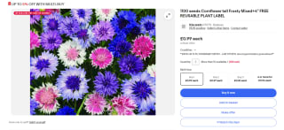 1100 seeds Cornflower tall Frosty Mixed+4" FREE REUSABLE PLANT LABEL - £0.99