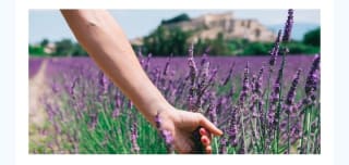 La Provenza 3 días H 4* por 399€ para 2 personas.