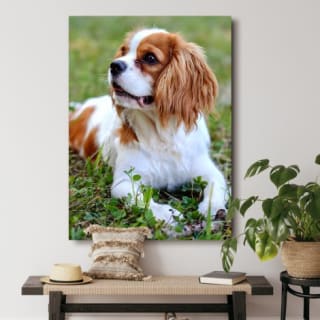 Canvas met 82% korting bij Fotoproducten.nl