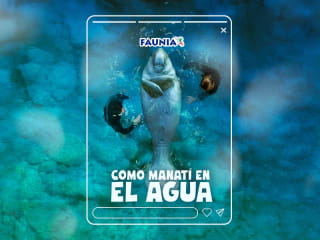 2x1 entrada general de Faunia