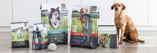 Gratis zak Intratuin Premiumvoer voor je Puppy of Kitten
