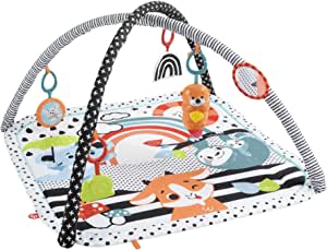 Fisher-Price 3-in-1 Gym met muziek en lichtjes - 76x76cm voor €27,99 bij Amazon