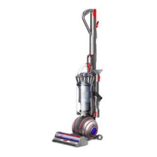 Pick Dyson Ball animal origin upright corded vacuum cleaner from eBay as low as £167.99