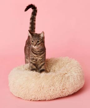 Cama Donut Kulcan para mascotas medianas por $19.990