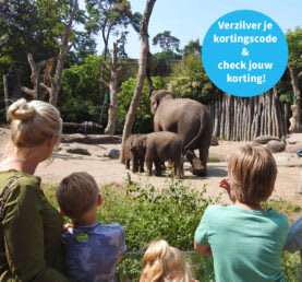 Met 30% korting naar diversen dierentuinen via de Lidl app