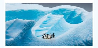 Crucero por La,Antártida 14 días por 1822€.