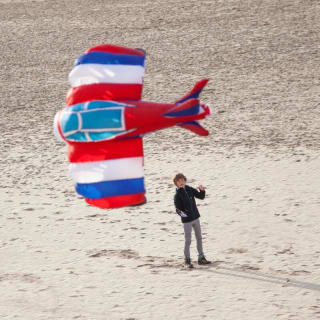 Orao Cometa en forma de avión 3D por 21,99€