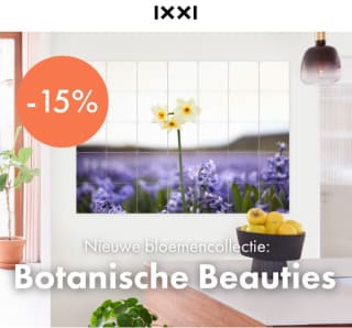15% korting op alle IXXI's