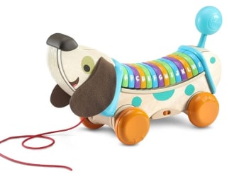 Eco Perrito Infantil Paseos, Descubre Letras y Canciones en Español por por 17,96€