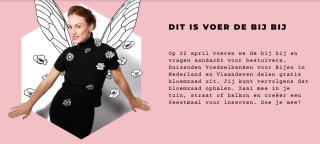 Gratis zakje bloemzaad ophalen bij Voedselbank voor Bijen