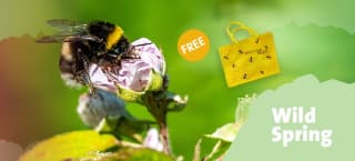 Gratis “Save Our Bees” jute boodschappentas bij bestelling bij Vivara