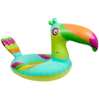 Zwemband Ø 102 cm in diverse varianten voor €3,79 bij de Action