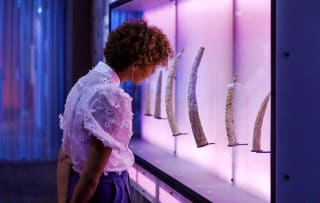 Entreeticket Wereldmuseum Rotterdam voor €8 bij Tripper