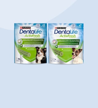 Probeer Dentalife ActivFresh hondensnack gratis na cashback via Scoupy