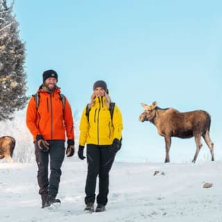 15% korting bij RevolutionRace